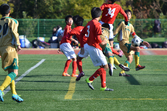 20151220A1_21.jpg